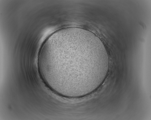 X0000114430006200911061652