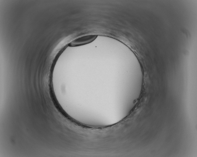 X0000114430007200911061652