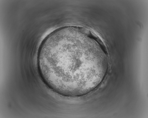 X0000114430008200911061652