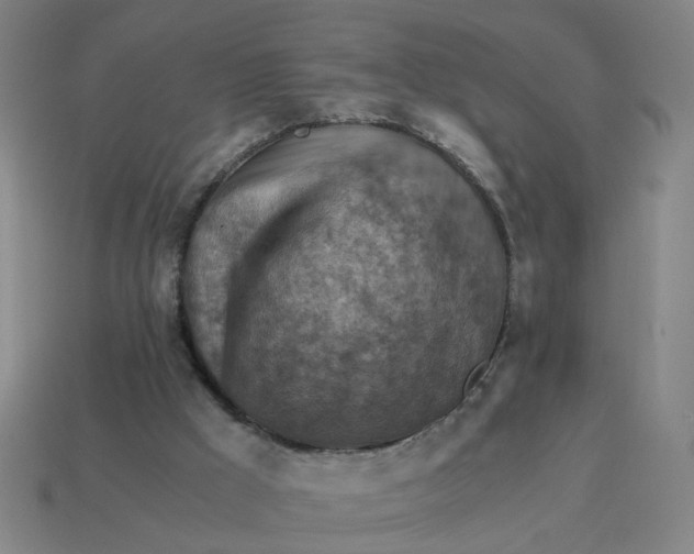 X0000114430009200911061652