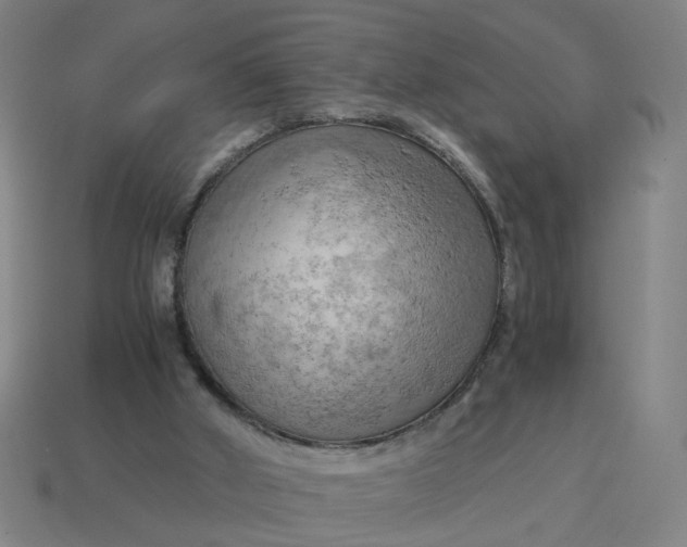 X0000114430010200911061652