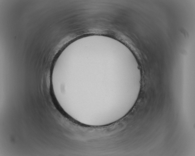 X0000114430011200911061652