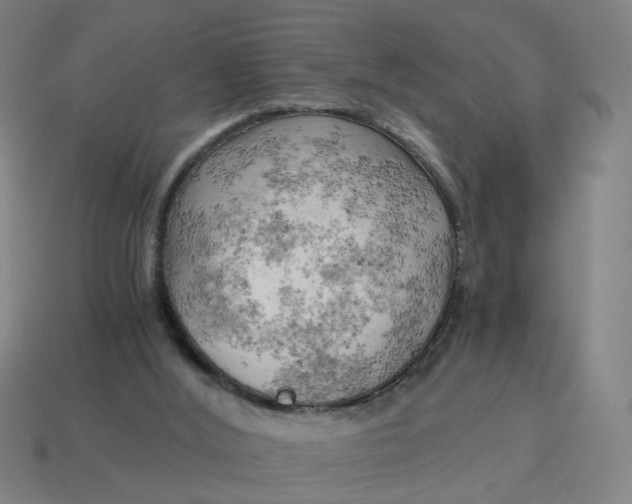 X0000114430012200911061652