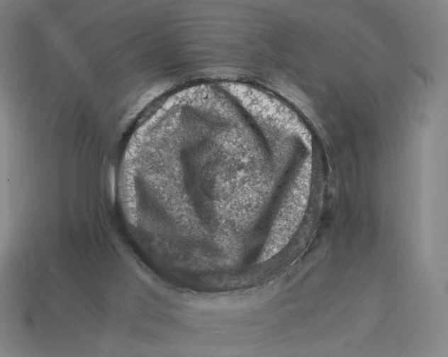 X0000114430013200911061652