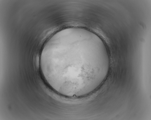 X0000114430014200911061652