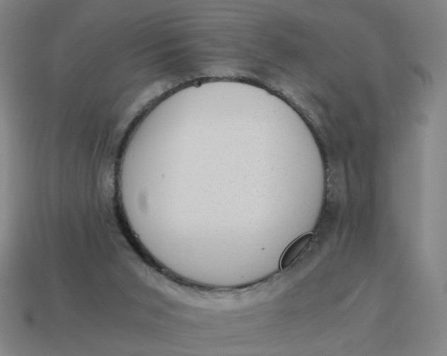 X0000114430015200911061652