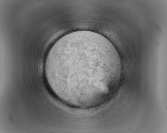 X0000114430016200911061652