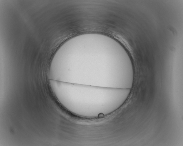 X0000114430017200911061652