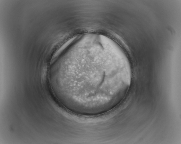 X0000114430018200911061652