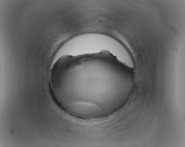 X0000114430019200911061652
