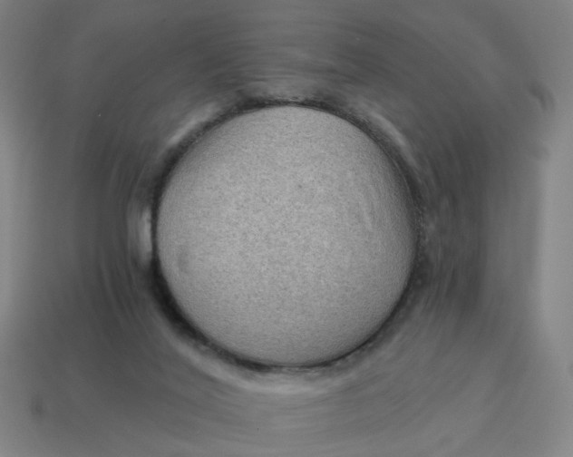 X0000114430020200911061652
