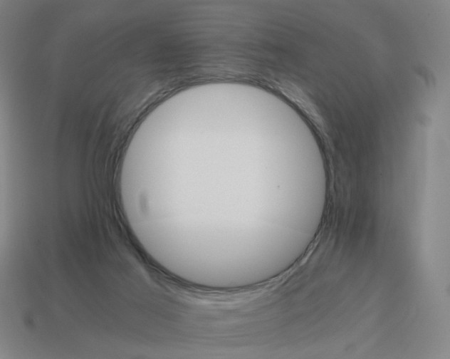 X0000114430021200911061652