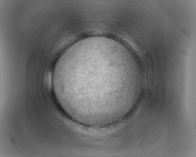 X0000114430022200911061652