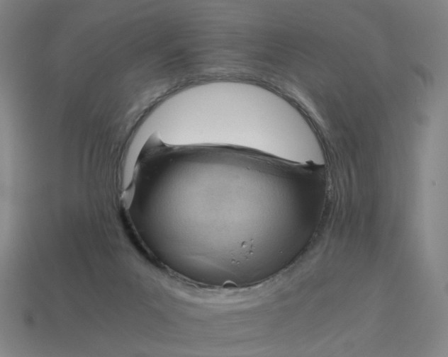 X0000114430023200911061652