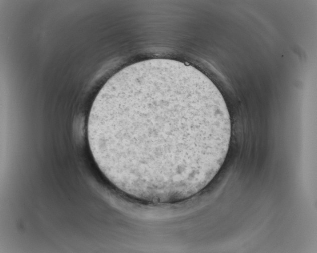 X0000114430024200911061652