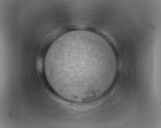 X0000114430026200911061652