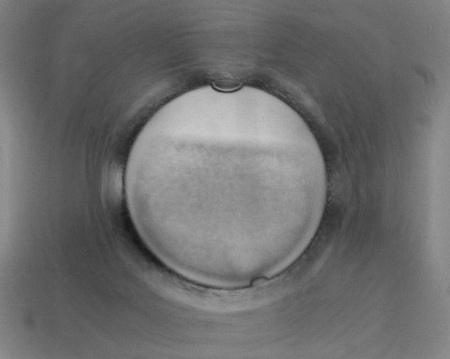X0000114430027200911061652