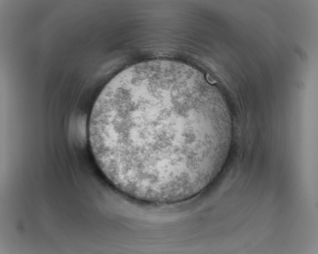X0000114430028200911061652