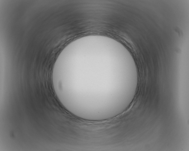 X0000114430029200911061652