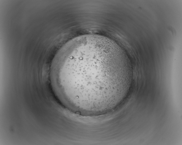 X0000114430030200911061652