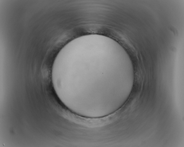 X0000114430031200911061652