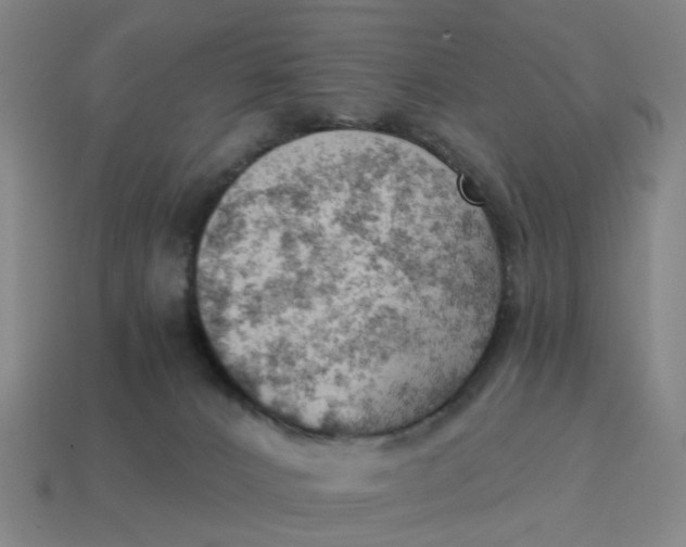 X0000114430032200911061652