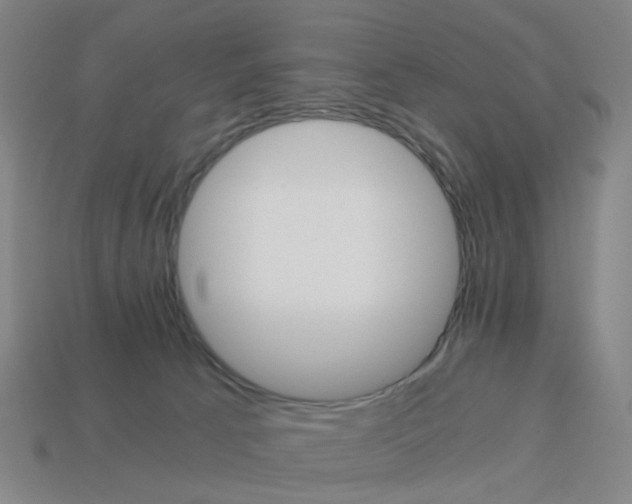 X0000114430033200911061652