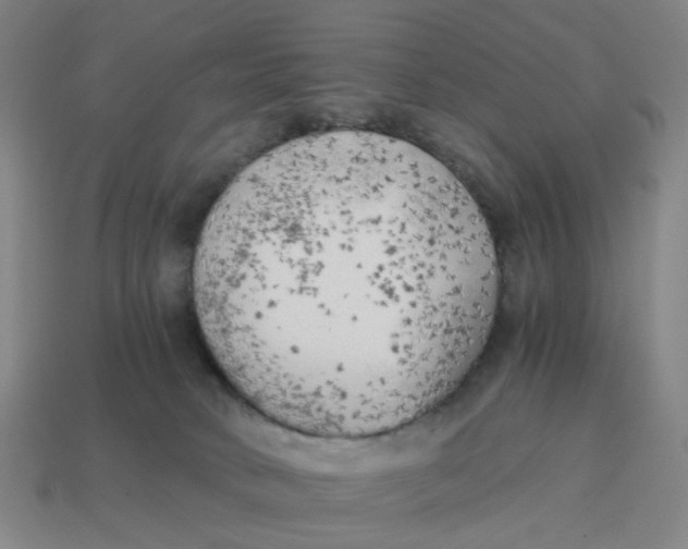 X0000114430034200911061652