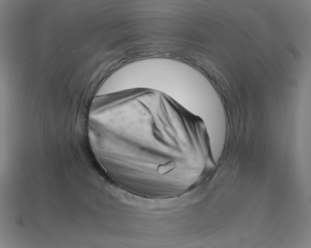 X0000114430035200911061652