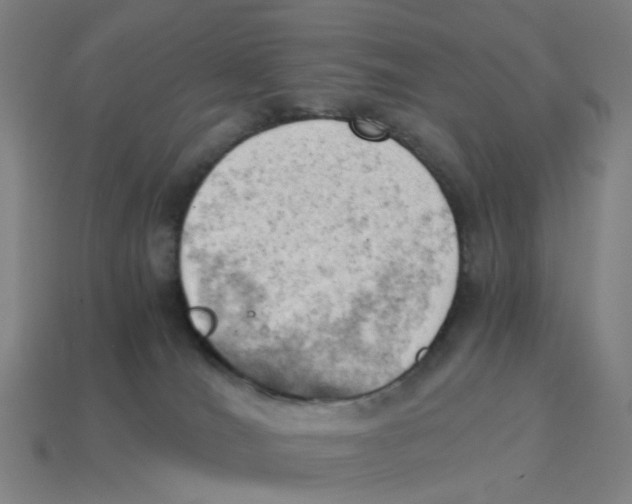 X0000114430036200911061652