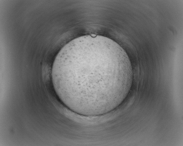 X0000114430038200911061652
