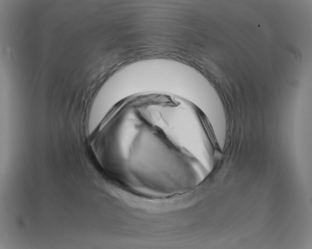 X0000114430039200911061652