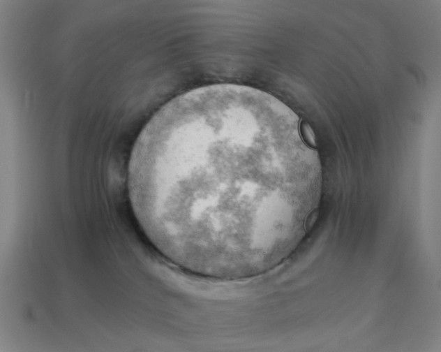 X0000114430040200911061652
