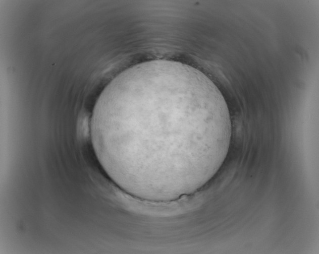 X0000114430042200911061652