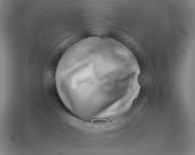 X0000114430043200911061652