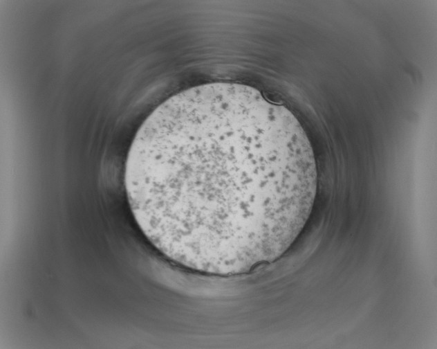 X0000114430044200911061652