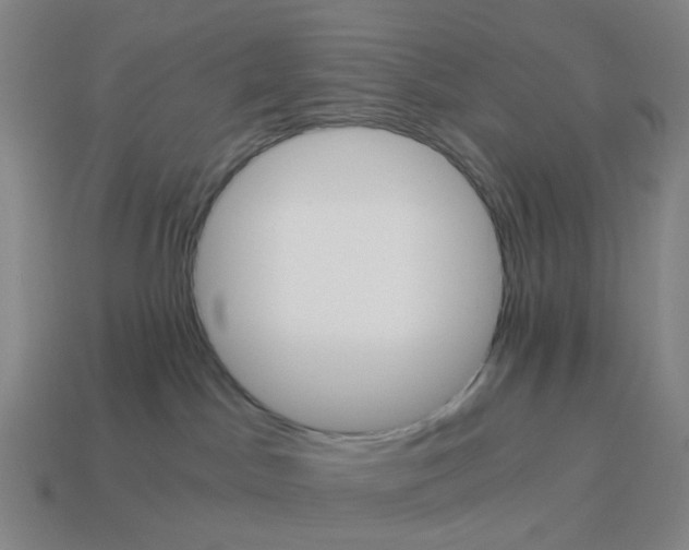 X0000114430045200911061652