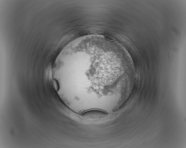 X0000114430046200911061652