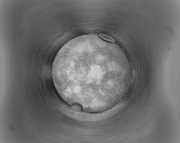 X0000114430048200911061652