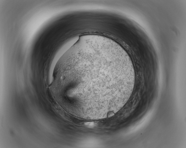X0000114430050200911061651