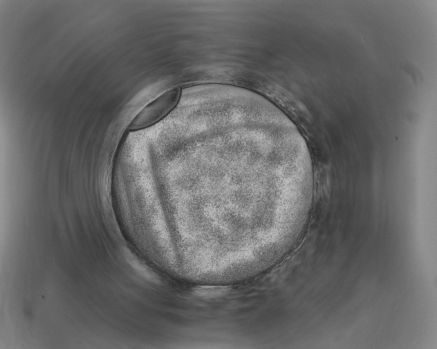 X0000114430051200911061651