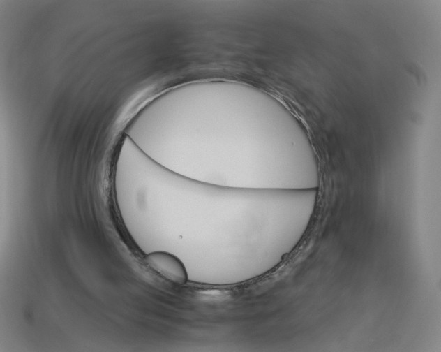 X0000114430053200911061651