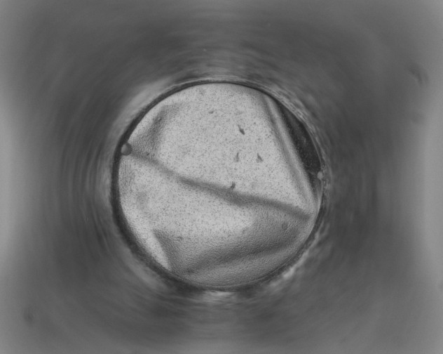 X0000114430055200911061651