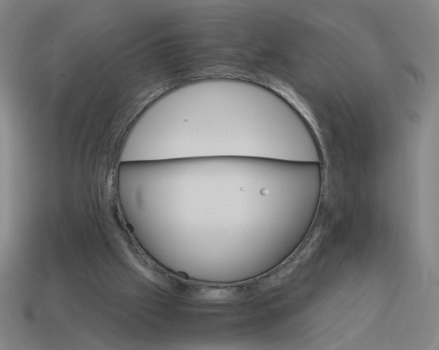 X0000114430057200911061651