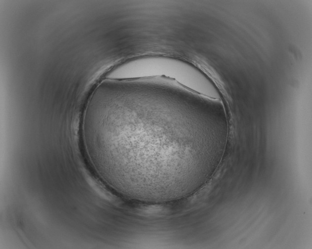 X0000114430058200911061651