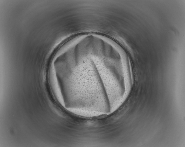 X0000114430060200911061651