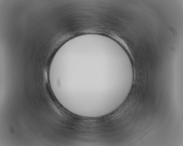 X0000114430061200911061651