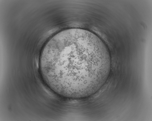X0000114430062200911061651