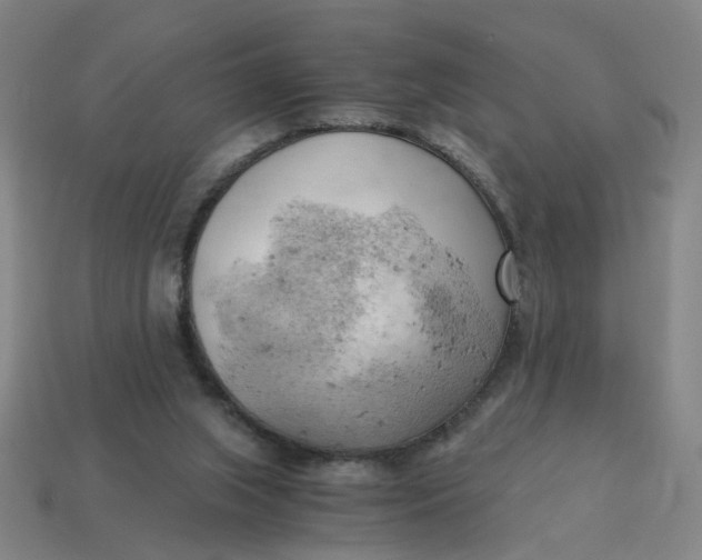 X0000114430063200911061651