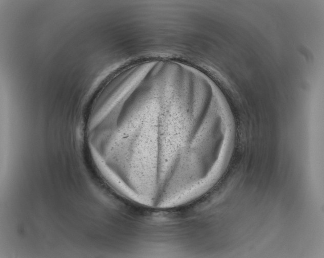 X0000114430064200911061651